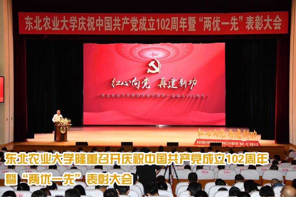 华体汇APP官网下载召开审计委员会2