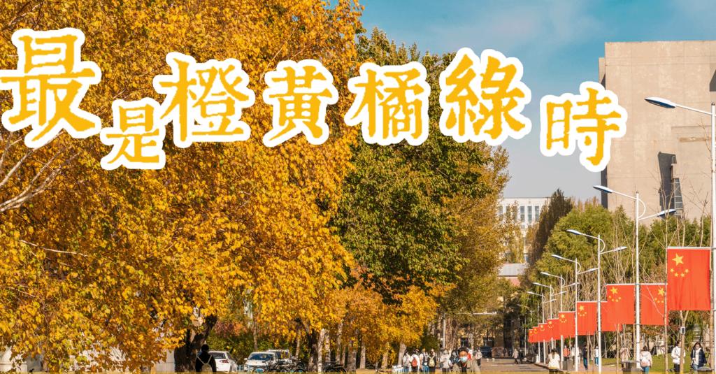 华体汇APP官网下载新型科研机构综合