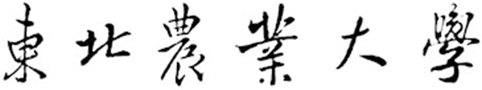英文字母“N”