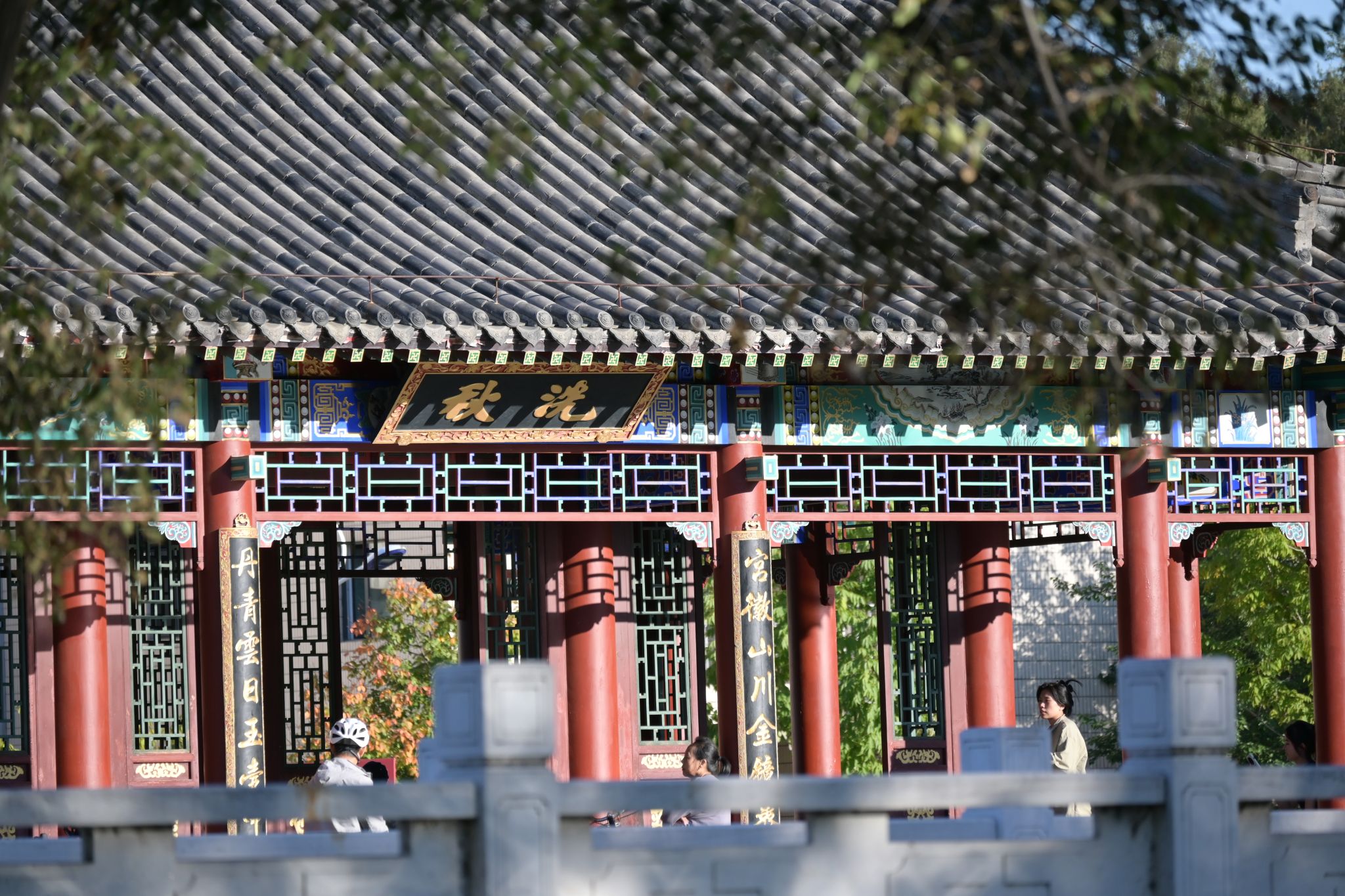 华体汇APP官网下载新手怎么玩概况