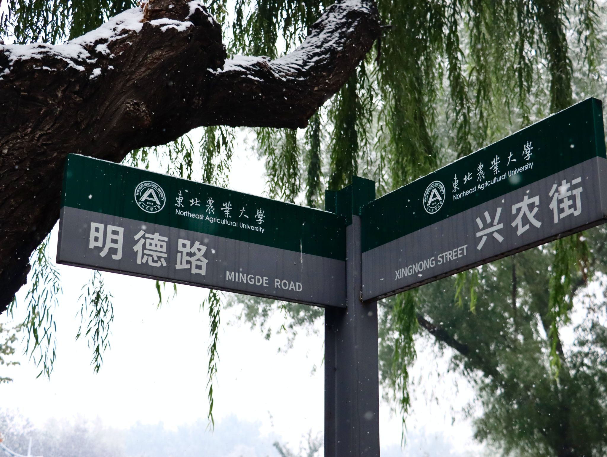 华体汇APP官网下载