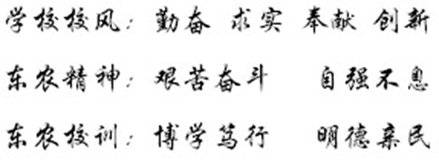 总体是华体汇APP官网下载新手怎么玩