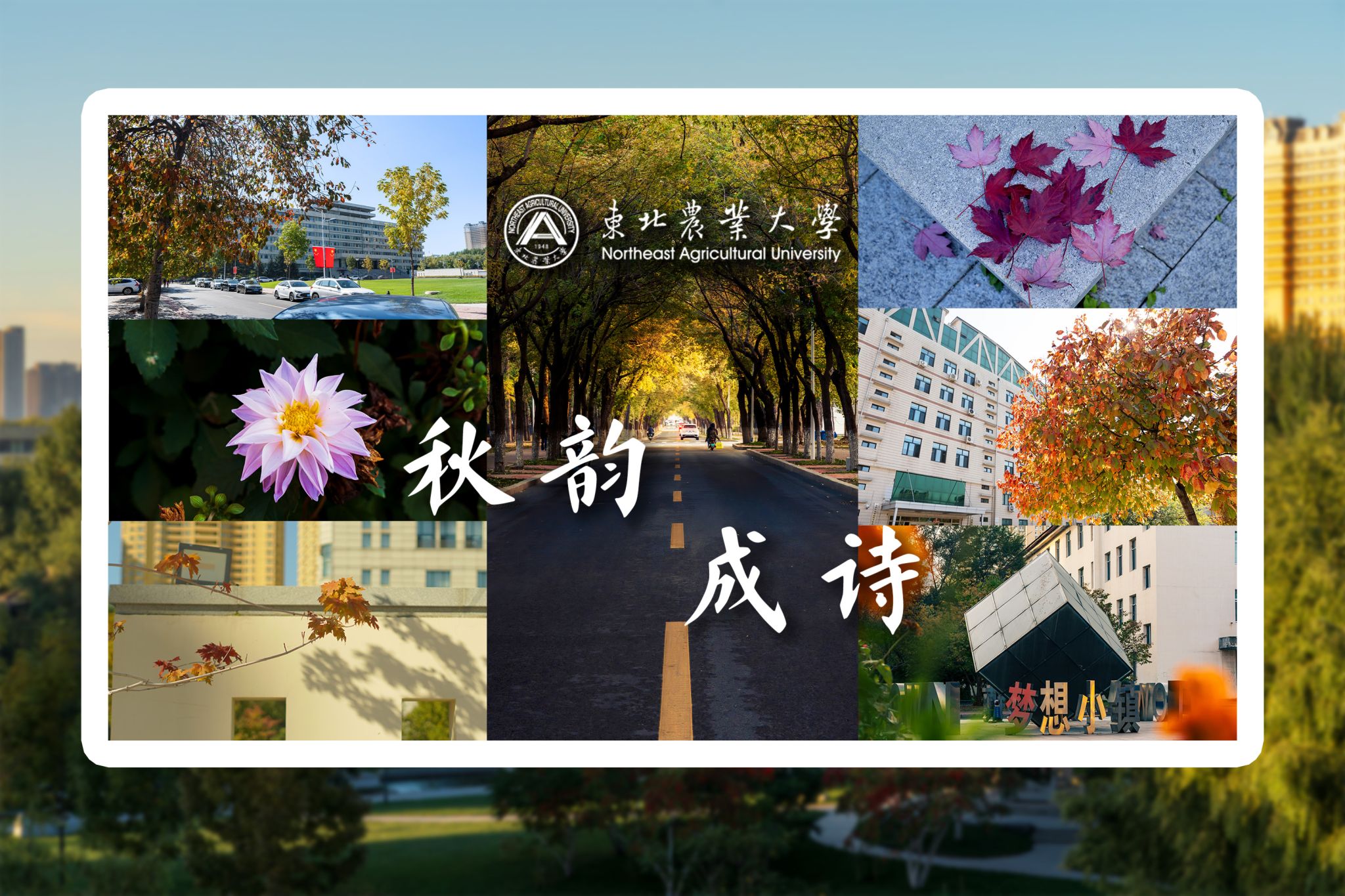 托普云农有限华体汇APP官网下载来华