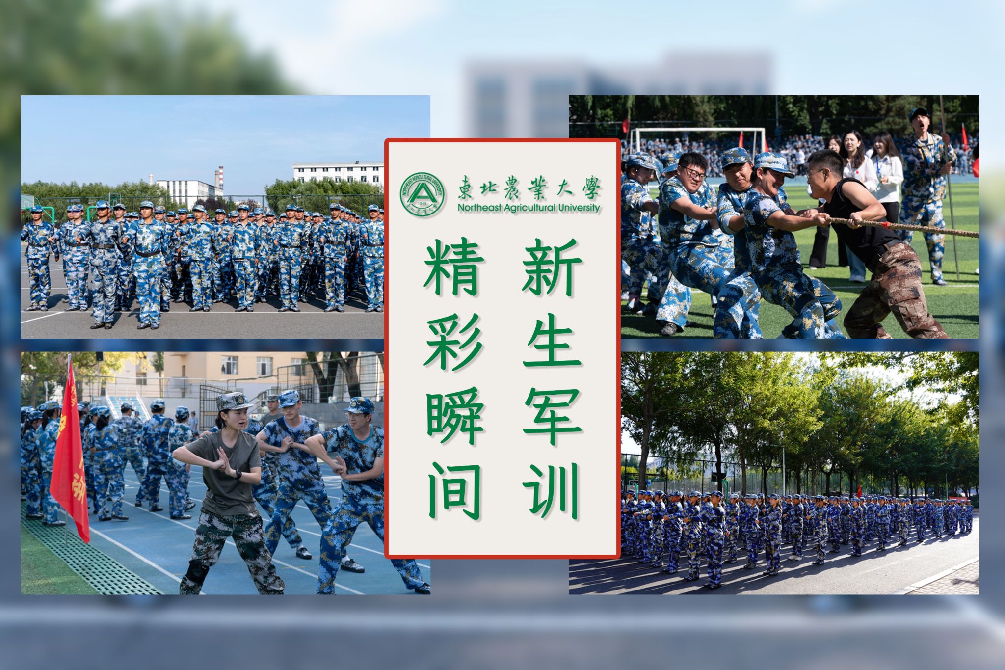 华体汇APP官网下载冰壶队首次参加全