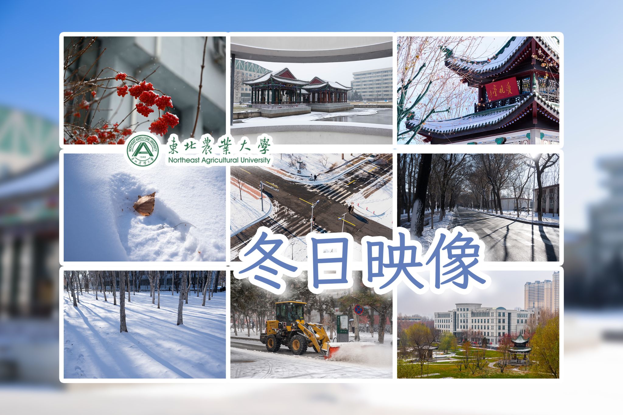 海南省东方市科协