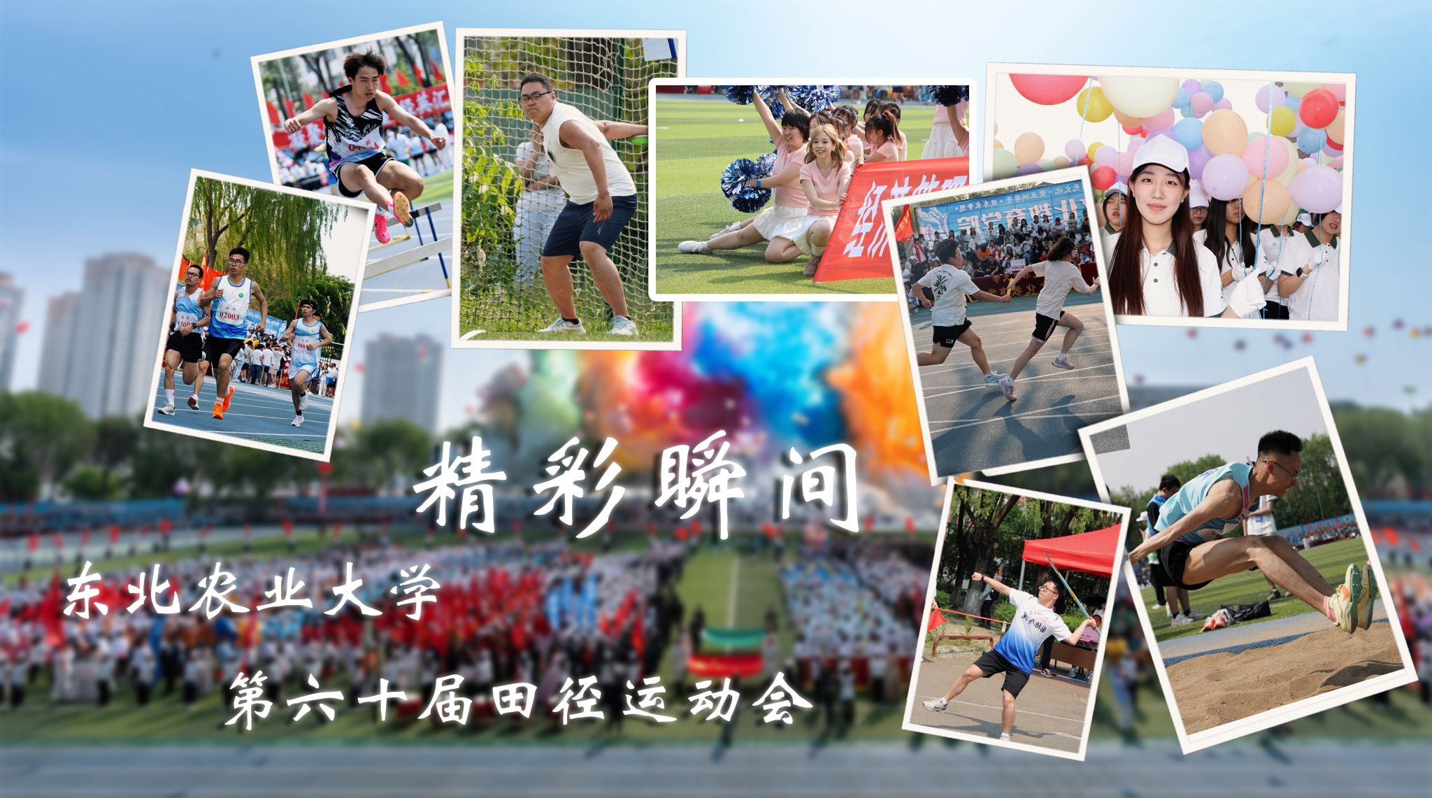 华体汇APP官网下载新型科研机构综合