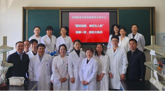 华体汇体育app官网下载最新活动开展