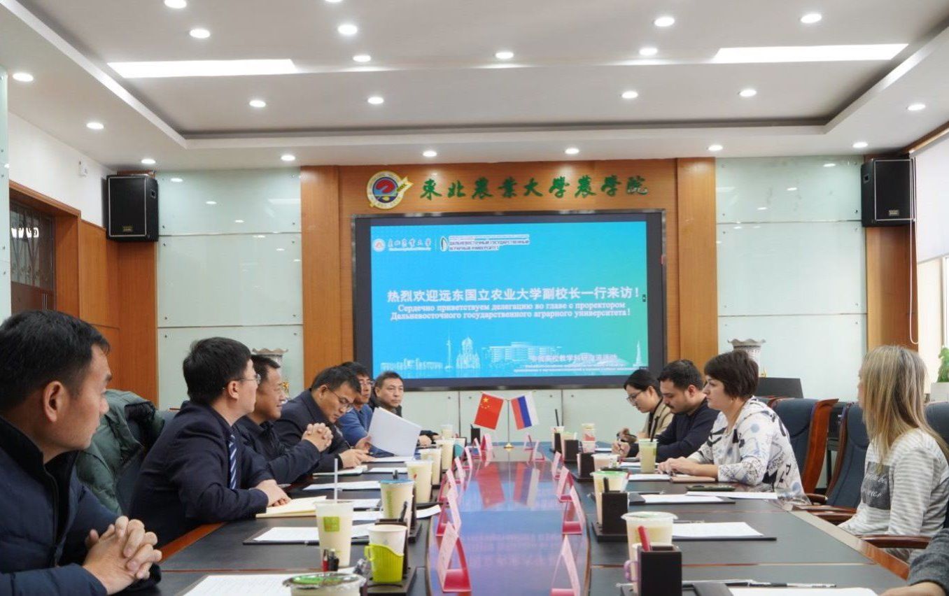 边疆区华体汇APP官网下载使用方法和