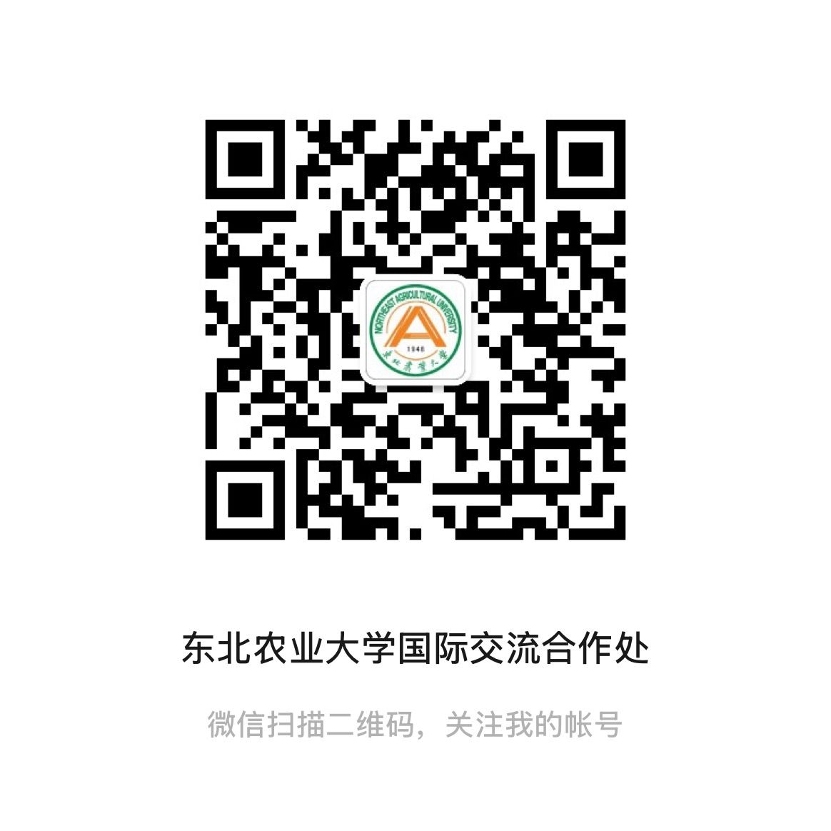 华体汇APP官网下载使用方法副校长陈