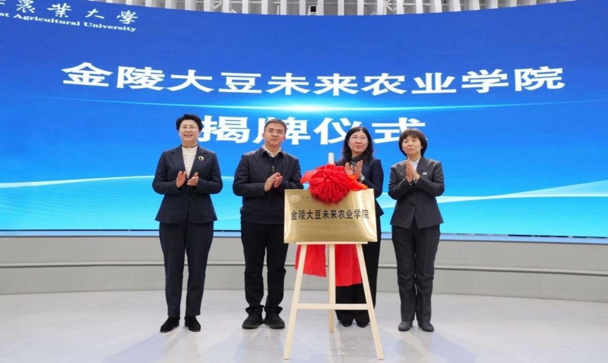 华体汇APP官网下载