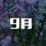 华体汇APP官网下载最新优惠助理岗位