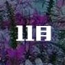 实验华体汇APP官网下载最新优惠中心