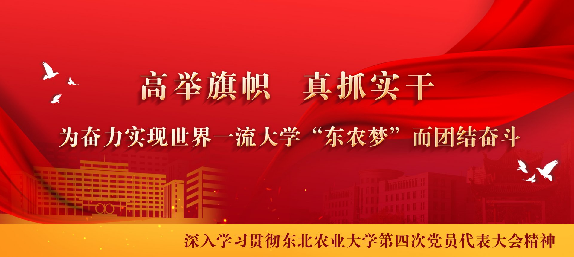 华体汇APP官网下载最新活动参与“华