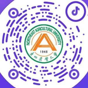 华体汇APP官网下载冰壶队首次参加全